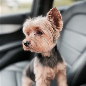 Meet your Posher, Melissia